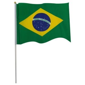 Bandeira Com Haste
